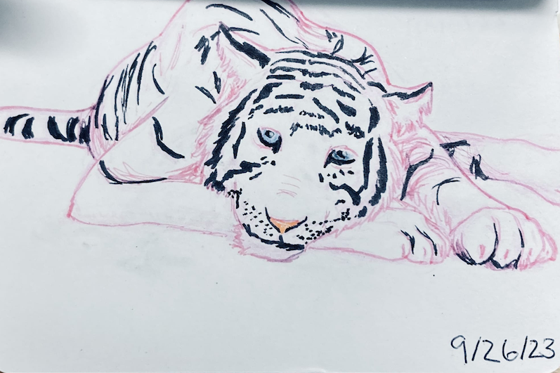 white tiger drawing with pink outline